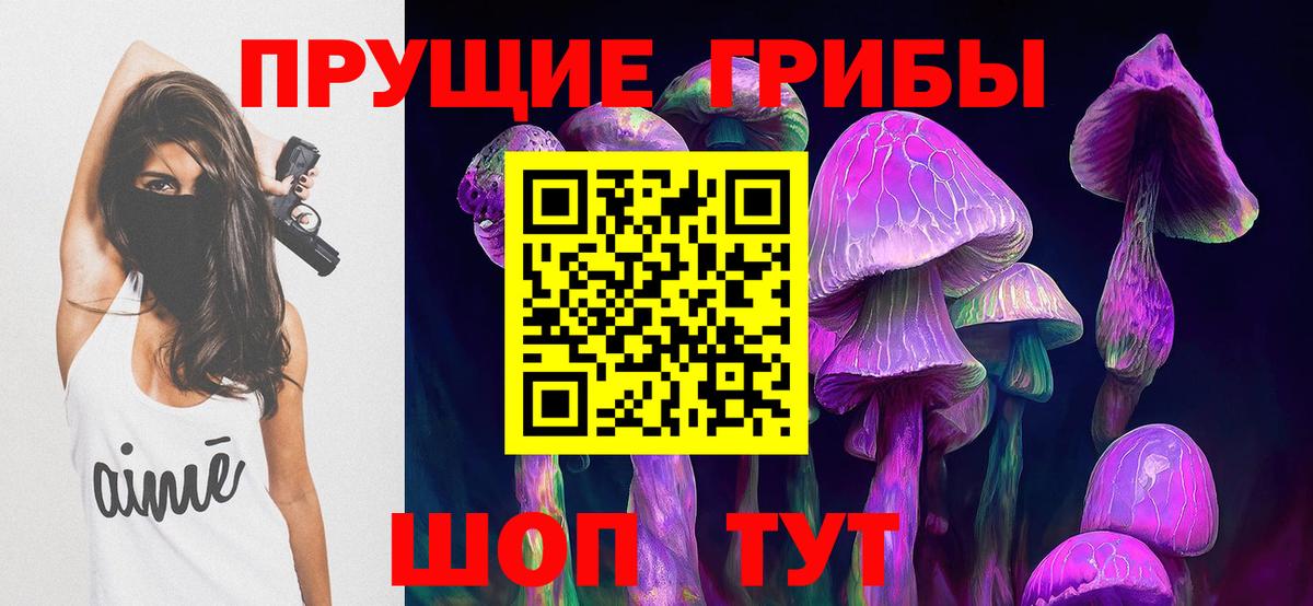 Псилоцибиновые грибы ЛСД  Вход с VPN  Псилоцибиновые грибы Psilocybe  Сунжа 